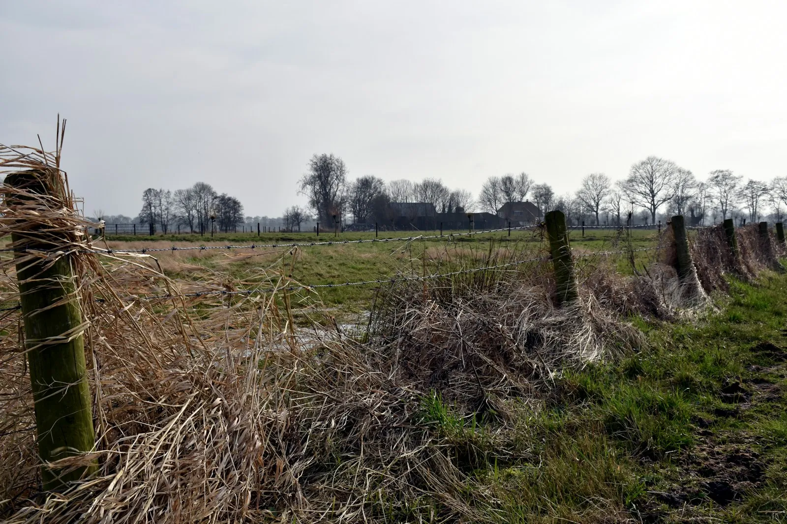 Noodstroom aardbevingsbestendig Groningen: eisen 2026