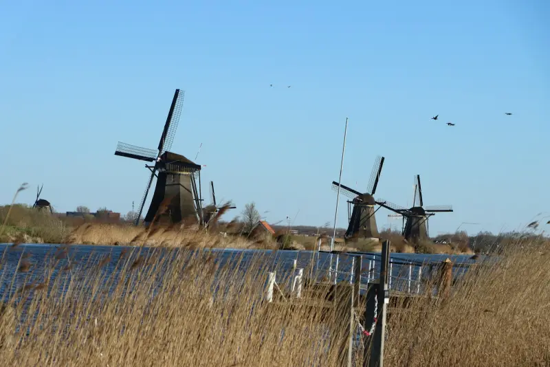 Noodstroom bij overstroming Groningen: veilig & droog