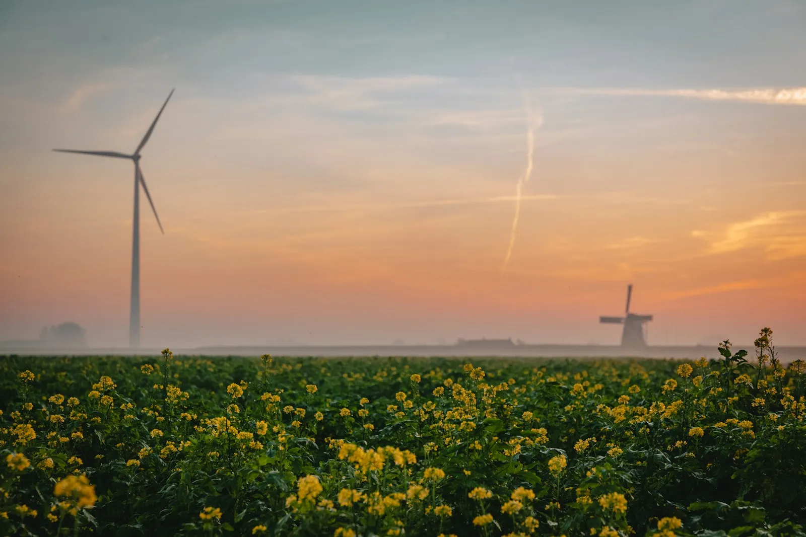 Noodstroom boerderij Groningen: vermogen & kosten